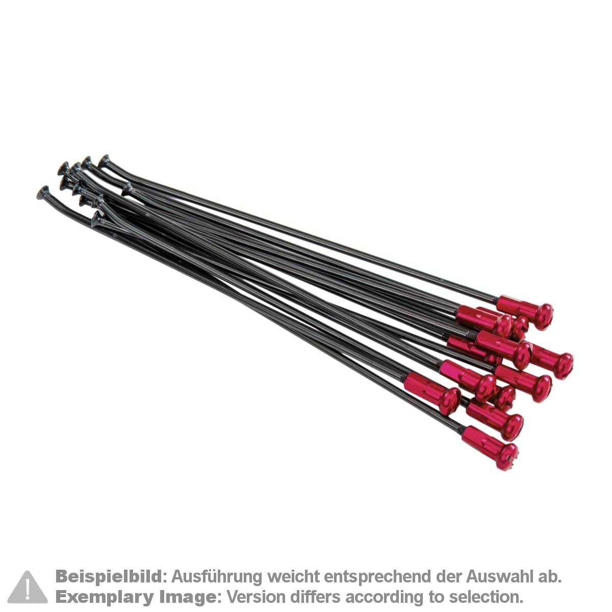Kite Performance Speichensatz mit Speichennippel  21 Zoll, Vorderrad, 12 Stk., Schwarz/Rot