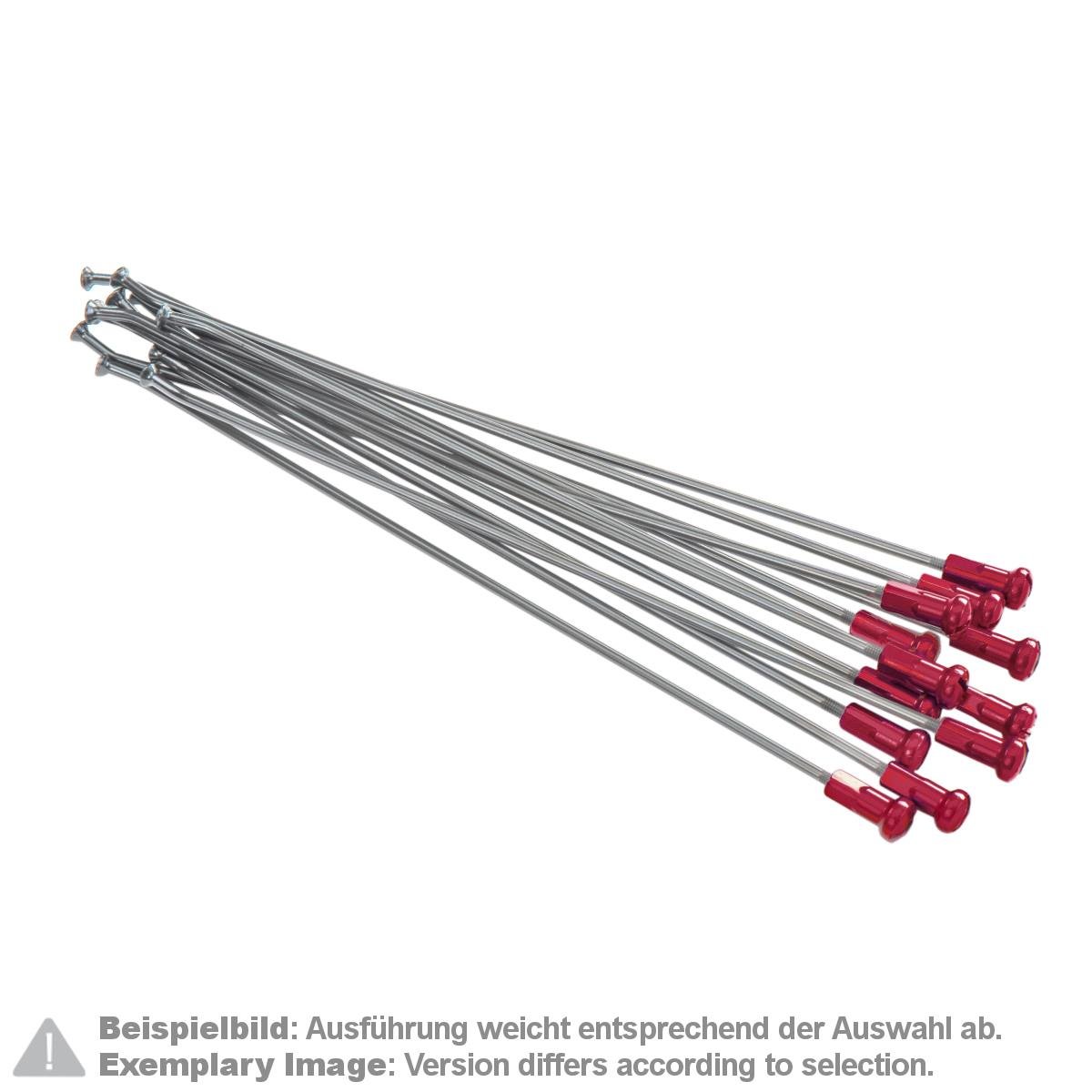Kite Performance Speichensatz mit Speichennippel  18 Zoll, Hinterrad, 12 Stk., Silber/Rot