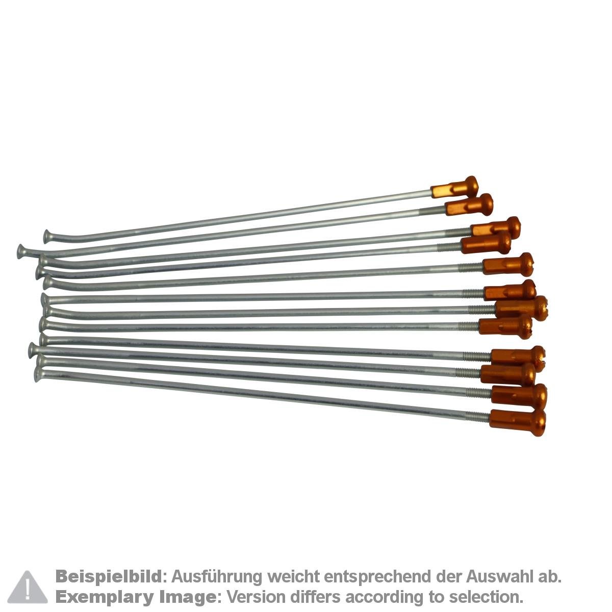 Kite Performance Speichensatz mit Speichennippel  18 Zoll, Hinterrad, 12 Stk., Silber/Orange