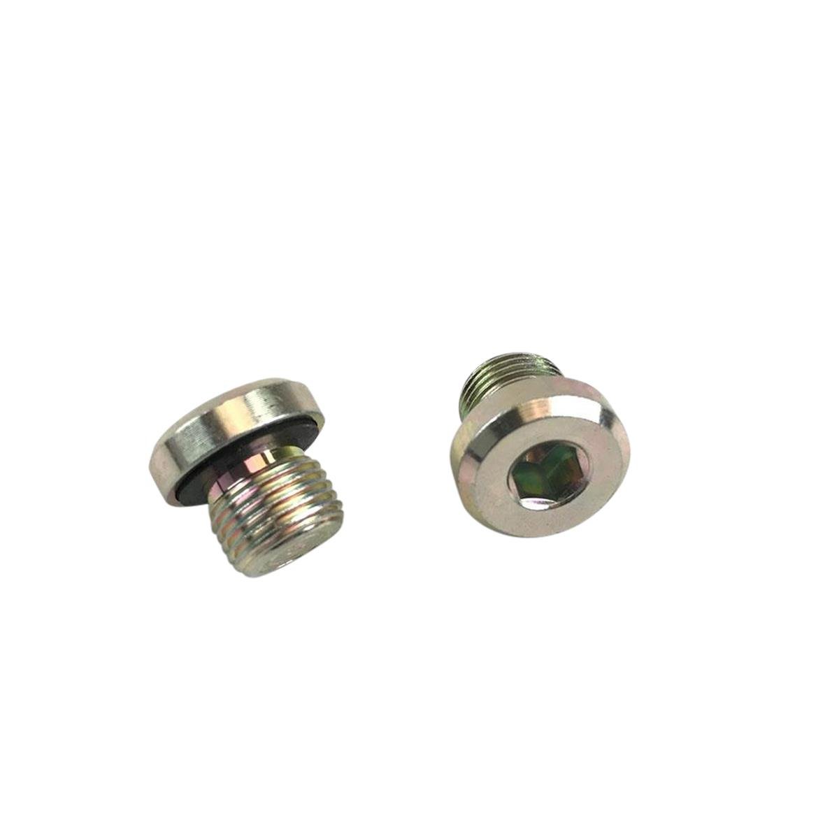 WP Bleed Screw  for shock absorber