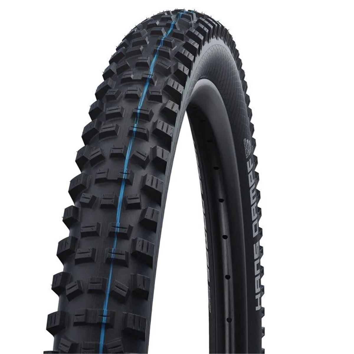 Schwalbe MTB Tire Hans Dampf HS 491 Black, 29 x 2.6 Inch, SnakeSkin, Super Trail, Tubeless Easy, Addix Speedgrip, Foldable