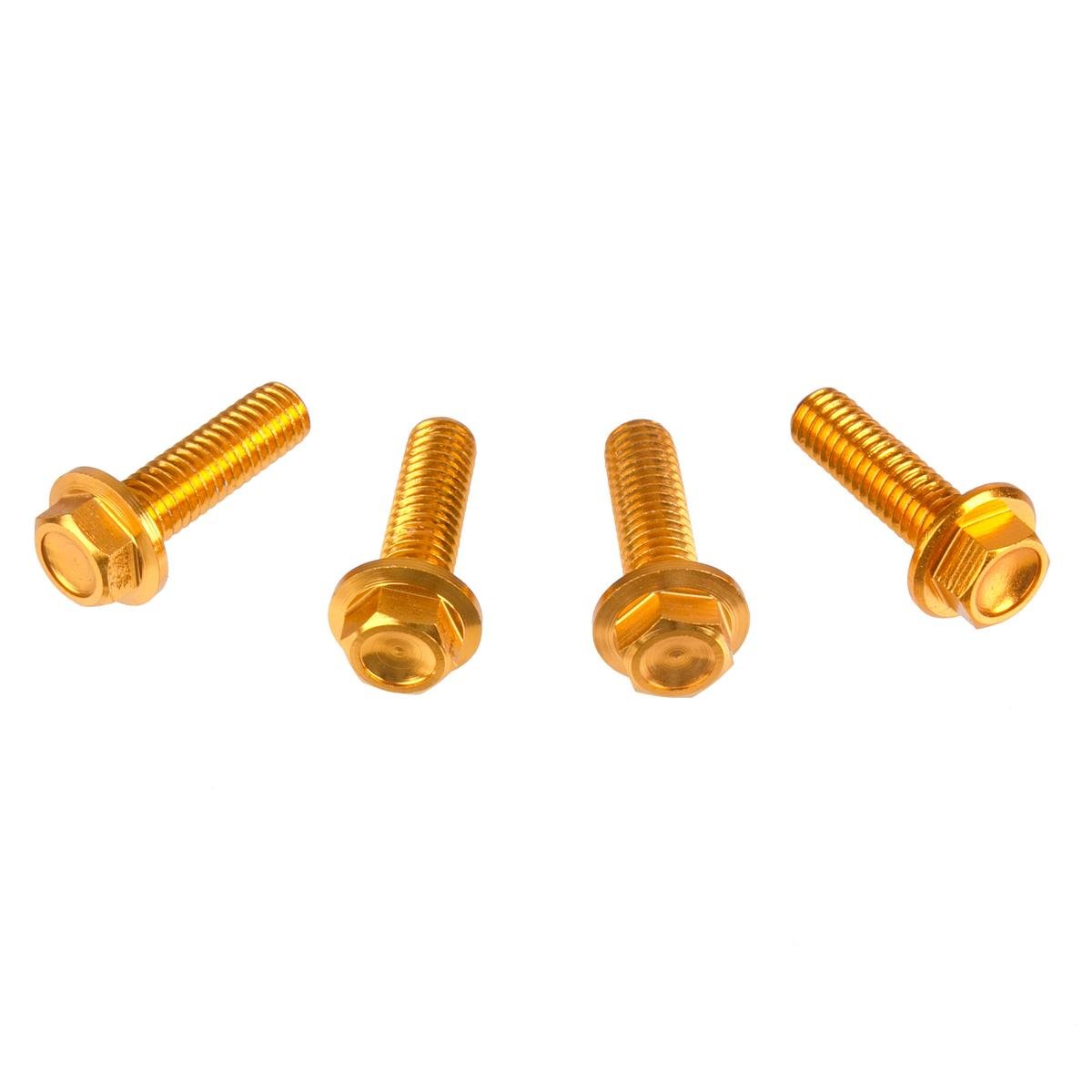 DRC Inner Hex Bolts  M6 x 20 mm, Gold, Pack of 4