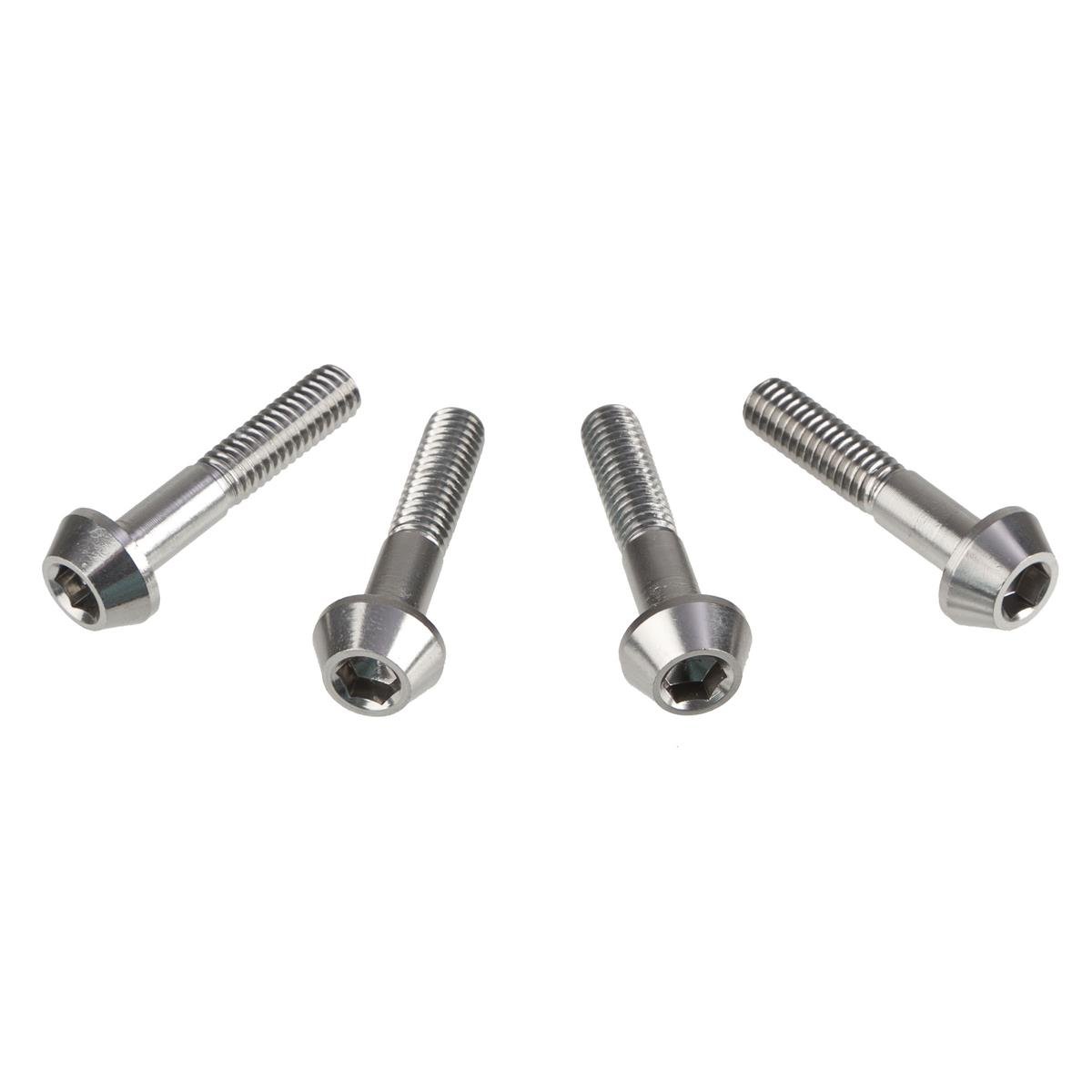 DRC Inner Hex Bolts  M6 x 30 mm, Pack of 4
