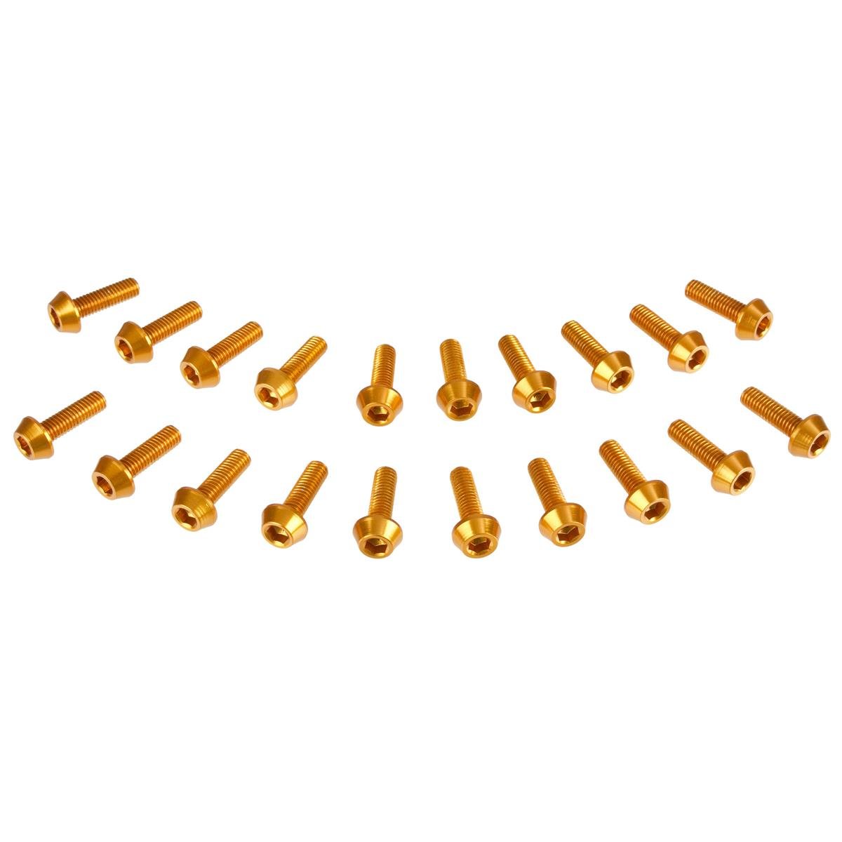 DRC Inner Hex Bolts  M6 x 20 mm, Gold, Pack of 20
