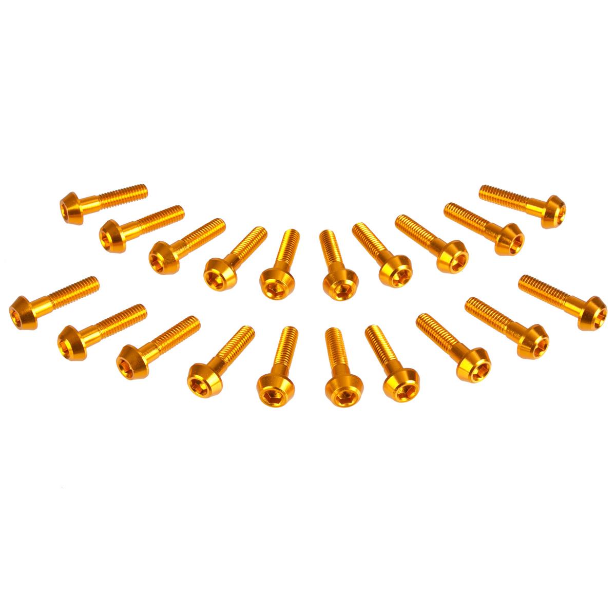 DRC Inner Hex Bolts  M6 x 25 mm, Gold, 20-Pack