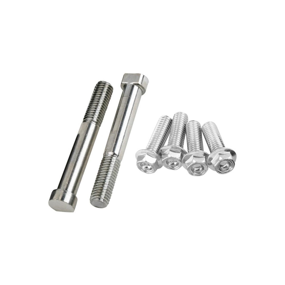 ProTaper Handlebar clamps spare screws  Silver