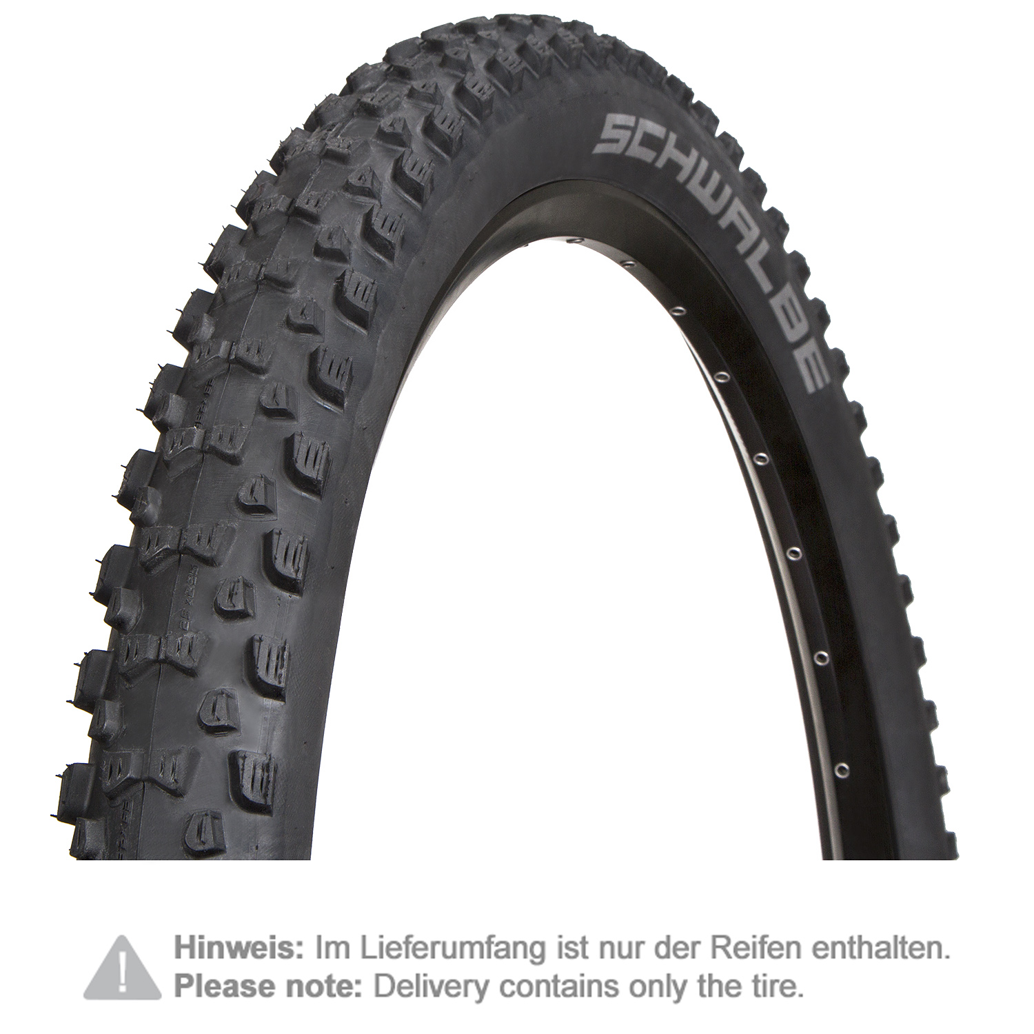Schwalbe MTB Tire Fat Albert HS 447 Black, 29 x 2.35 Inches, Evo, SnakeSkin, Tubeless Easy, PaceStar, Foldable