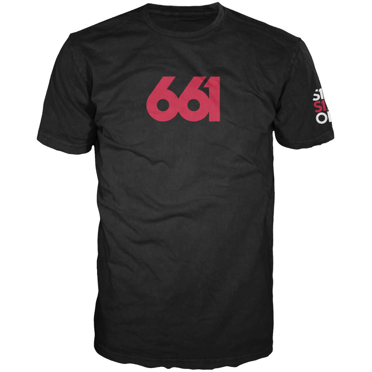 SixSixOne T-Shirt Numeric Premium Black