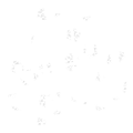 MO Show Logo